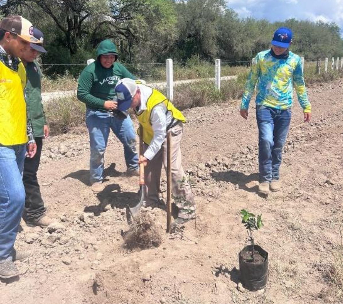 Consolida UAT su compromiso con el medio ambiente 1 tampsarboles2 e1747952362599