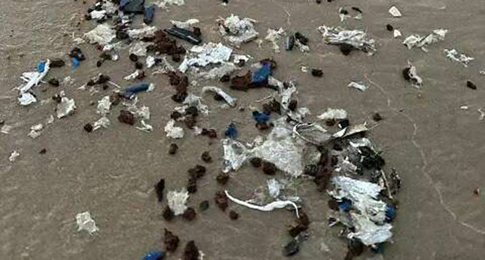 Realizarán investigaciones por restos de Starship en Playa Bagdad 1 494572293 1222251799354627 5622665101366807309 n