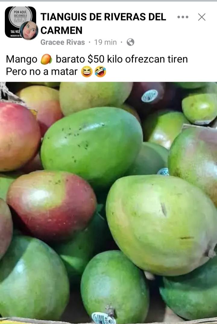 Venden mangos obtenidos en rapiña en Reynosa 2 506787636 1247296787046144 7901253867366609159 n
