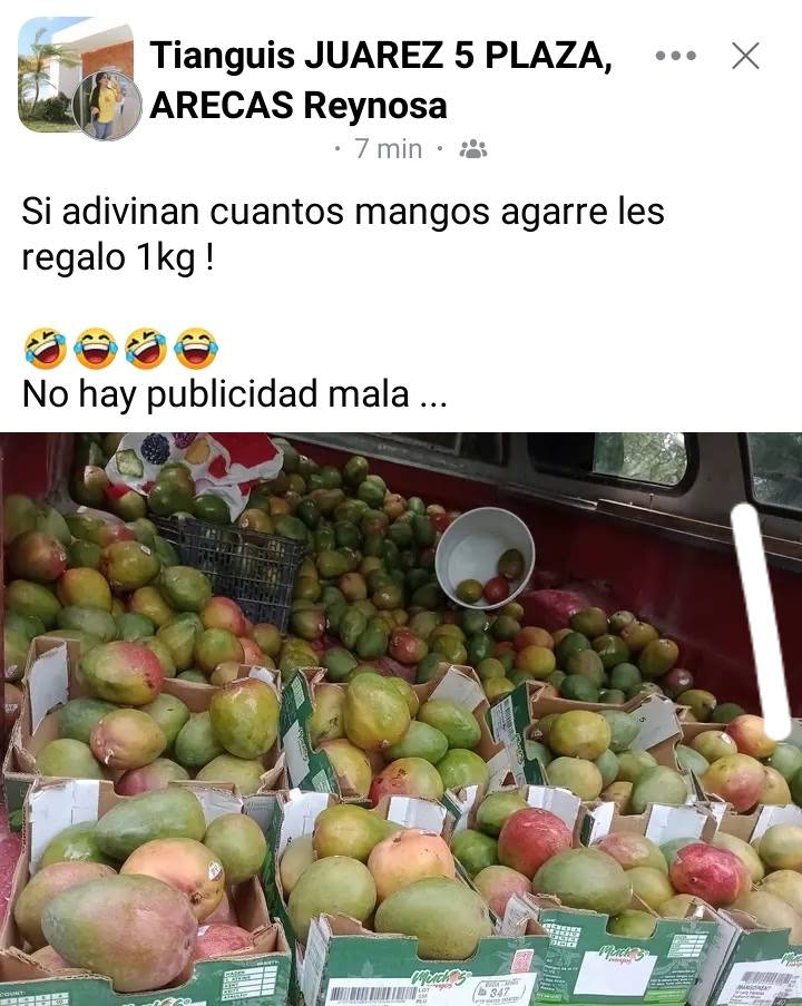 Venden mangos obtenidos en rapiña en Reynosa 4 507100740 2770570499999300 4909896495783675888 n