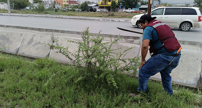 Desarrollan cuadrillas municipales limpieza y saneamiento en Reynosa 2 5e6ad7e5 8c66 4cee 90ca d990d47538ef