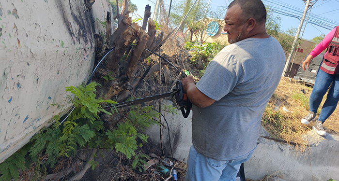 Extiende gobierno de Reynosa labores de limpieza en colonias 1 960c0f94 3c33 48ef a225 ee0909ff8320