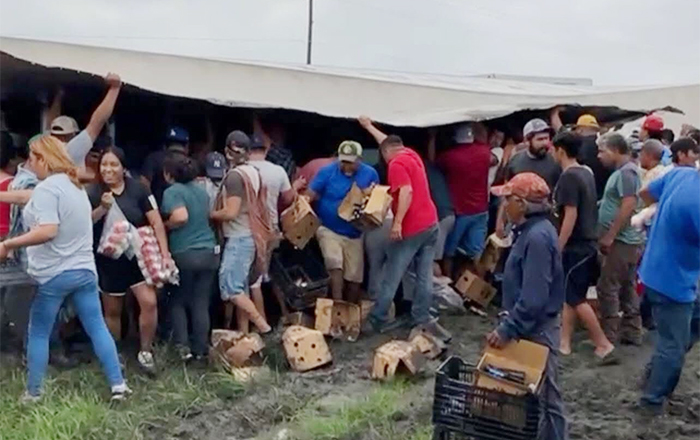 Tráiler con cerveza vuelca en Tamaulipas, ¿qué creen que pasó después? 3 CERVEZA 2