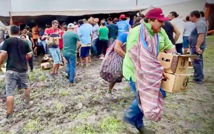Tráiler con cerveza vuelca en Tamaulipas, ¿qué creen que pasó después? 2 CERVEZA 3