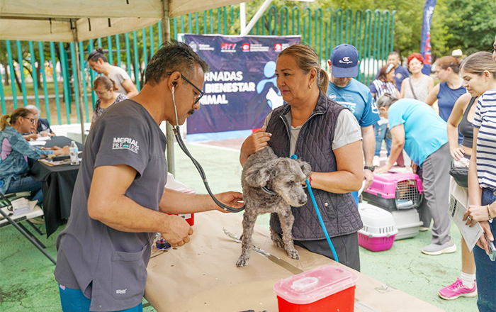 Municipio de Monterrey realiza Feria del Bienestar Animal 1 MASCOTA