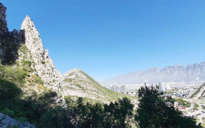 PICO LICOS