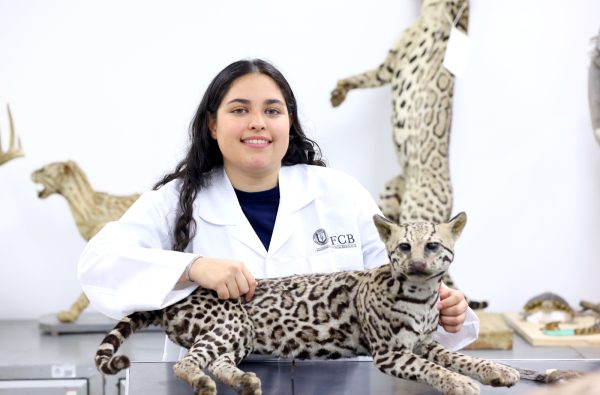 Hará historia en la UANL al hacer sus prácticas en el extranjero 2 WhatsApp Image 2025 06 03 at 4.46.54 PM e1748991511322