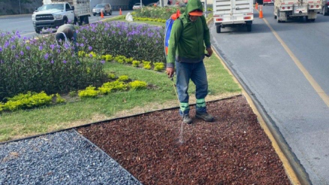 Brinda Monterrey mantenimiento a la imagen urbana 3 WhatsApp Image 2025 06 04 at 12.04.33 PM700