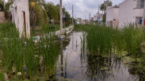 Arranca Juárez obra de pavimentación en ‘laguna urbana’ en Mirador de San Antonio 3 WhatsApp Image 2025 06 09 at 6.35.34 PM 1700