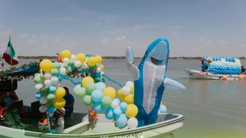 Beto Granados encabeza el Festival del Pescador 2025 2 WhatsApp Image 2025 06 09 at 6.39.49 PM 2700