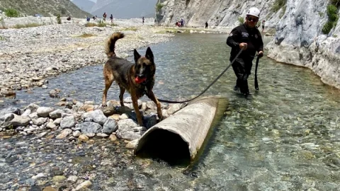 Capacitan a grupo de rescate K9 Jaguares de Santa Catarina 4 WhatsApp Image 2025 06 10 at 12.28.22 PM700