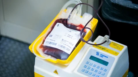 Súmate a la campaña de donación de sangre del HU y salva vidas 3 WhatsApp Image 2025 06 10 at 5.09.02 PM700