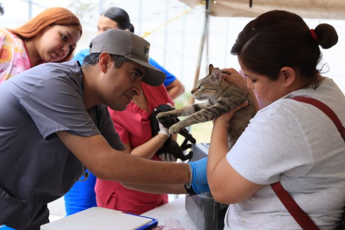 Ofrece Monterrey campaña de salud y bienestar animal 1 WhatsApp Image 2025 06 12 at 4.24.44 PM e1749767169992