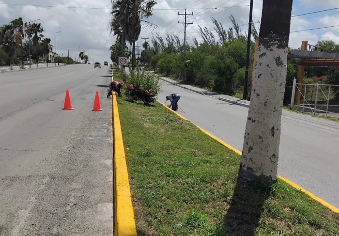 Mejora Ayuntamiento de San Fernando con limpieza y pintura espacios públicos en salida a Matamoros 1 WhatsApp Image 2025 06 20 at 12.22.59 PM700