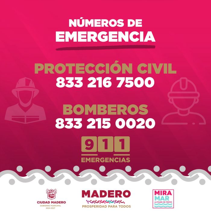 Piden extremar precauciones ante posibles avistamientos de cocodrilos 1 WhatsApp Image 2025 06 24 at 11.49.37 AM e1750795617930
