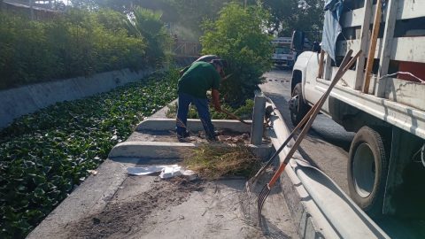 Sanea gobierno de Reynosa dren y calichera en Balcones de Alcalá 2 WhatsApp Image 2025 06 24 at 12.04.51 PM 1