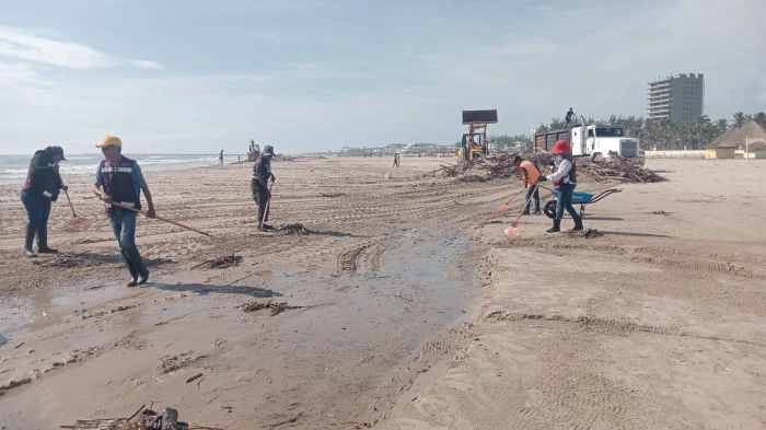 Se inicia el retiro de palizada y limpieza en playa Miramar 1 WhatsApp Image 2025 06 26 at 9.02.25 PM 1700