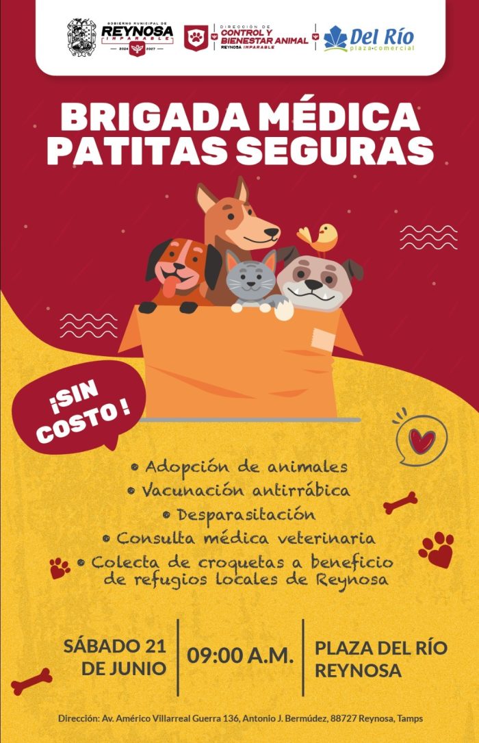 Ofrecerá gobierno de Reynosa servicios veterinarios gratuitos 1 a8cbfc3d fc01 4819 8216 66d7a561dba9 e1749765702633