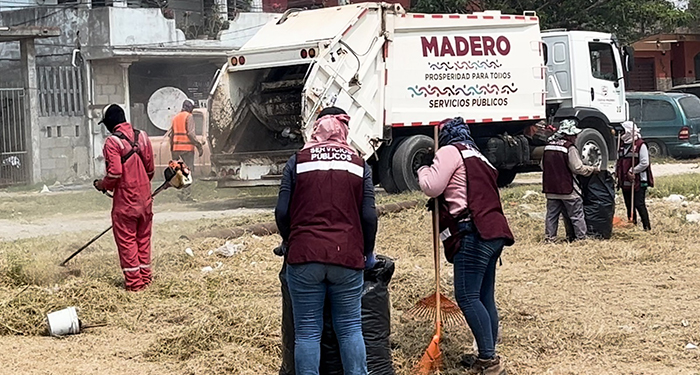 Ciudad Madero con reforestación será una zona más verde: Erasmo González 2 ce454389 a0b5 4e1b 89a2 a81722c7403a