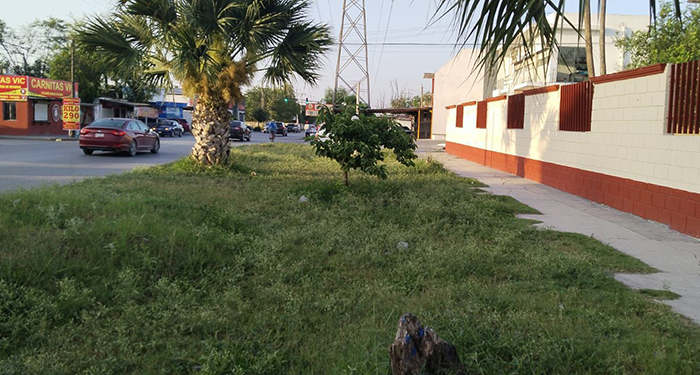 Extiende gobierno de Reynosa labores de limpieza en colonias 2 f9891c5b c1ed 4bc5 9744 8c7b909f375c
