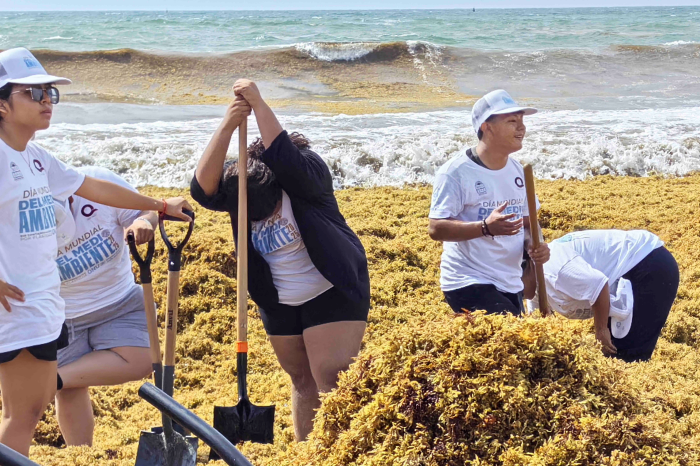 Sargazo se 'traga' las aguas turquesa y playas paradisíacas de Quintana Roo 1 sargazo1