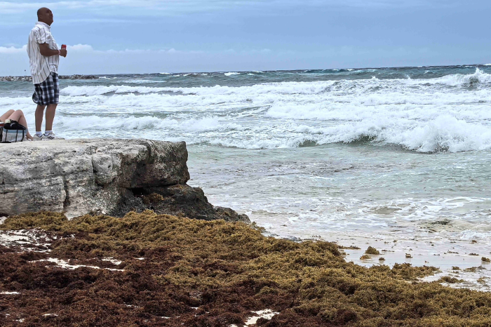Sargazo se 'traga' las aguas turquesa y playas paradisíacas de Quintana Roo 2 sargazo3
