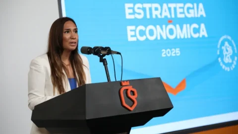 Refuerza Estado Estrategia Económica 2025 2 03 ESTRATEGIA ECONOMICA700