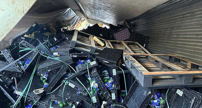 Volcadura de tráiler con aguacates desata rapiña en carretera Rumbo Nuevo 1 515123261 3248562818626111 1082263776950003141 n