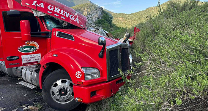 Volcadura de tráiler con aguacates desata rapiña en carretera Rumbo Nuevo 2 516383295 740093578967317 7548719503973185834 n