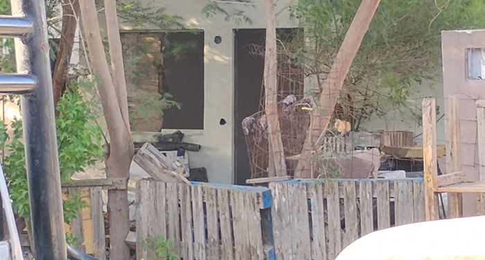 Localizan sin vida a 'El Patrón' en Reynosa 1 523428223 1080215080731097 132921954377120983 n
