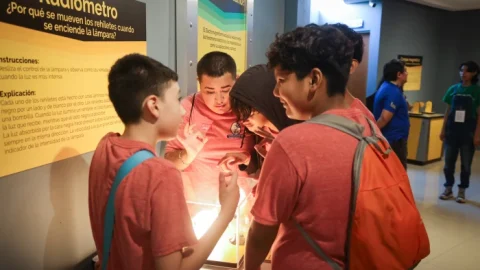Disfruta el verano aprendiendo en la UANL 16 CAMP MUS CIEN 1700