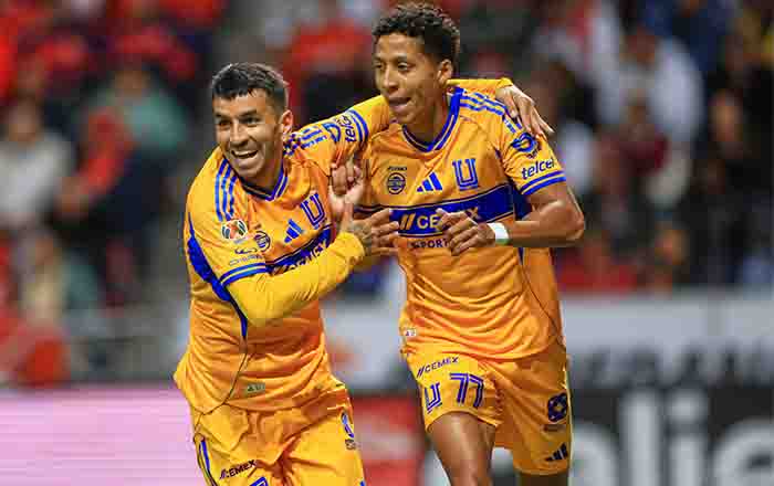 CORREA