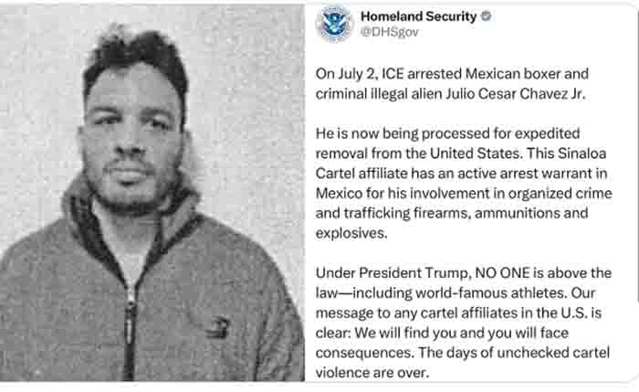 JULIO CESAR JR