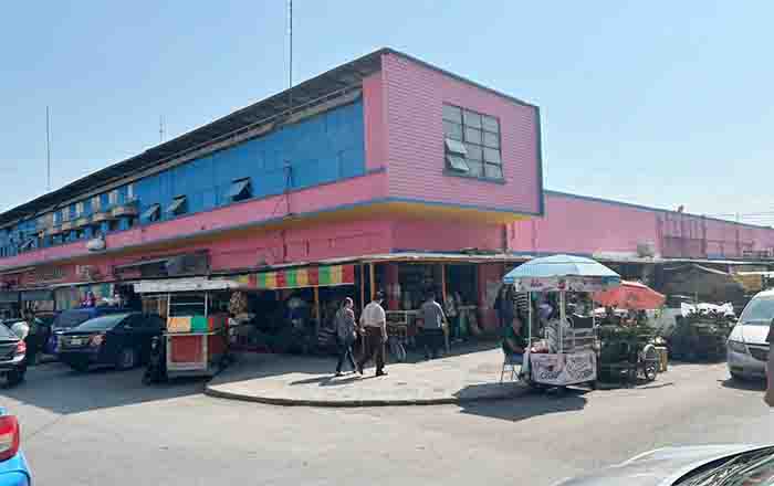 MERCADO VICTORIA