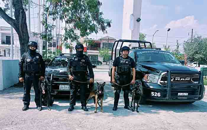 Convive manada K9 con niños en campamento de Monterrey 2 POLICIA MTY