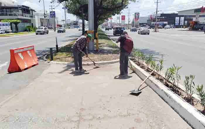 Notorio avance de rehabilitación de áreas verdes en Reynosa 1 REYNOSA 2 2
