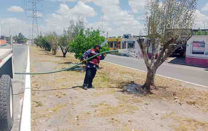 REYNOSA