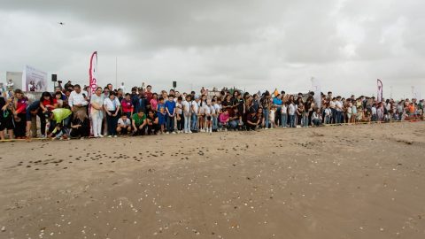 Se lleva a cabo la liberación de tortuga lora 3 WhatsApp Image 2025 07 06 at 12.13.46 PM