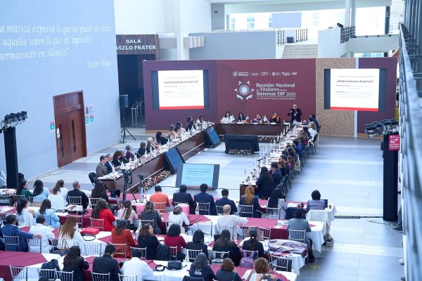 Lazos del Bienestar del DIF Tamaulipas es referente nacional en atención a grupos prioritarios 1 WhatsApp Image 2025 07 06 at 2.54.32 PM 1 e1751839819143