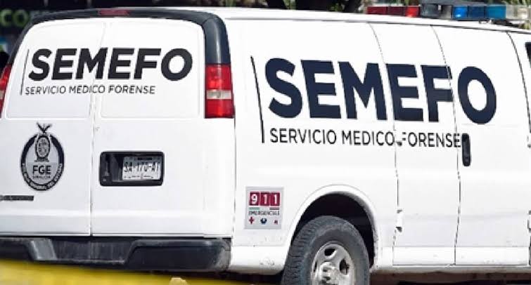 semefo