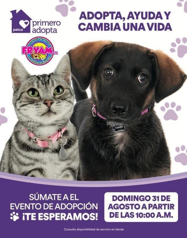 Invitan a campaña de adopción de mascotas en Reynosa 1 525989987 768387769207881 7364770329961128696 n