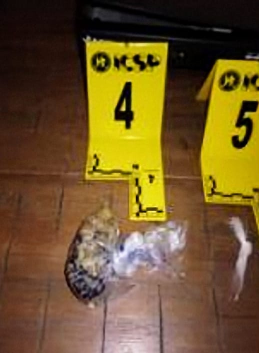 Catean domicilios de financiera ‘Toque Divino’; encuentran réplicas de armas largas 4 530919280 747546974815163 6501087547338701884 n