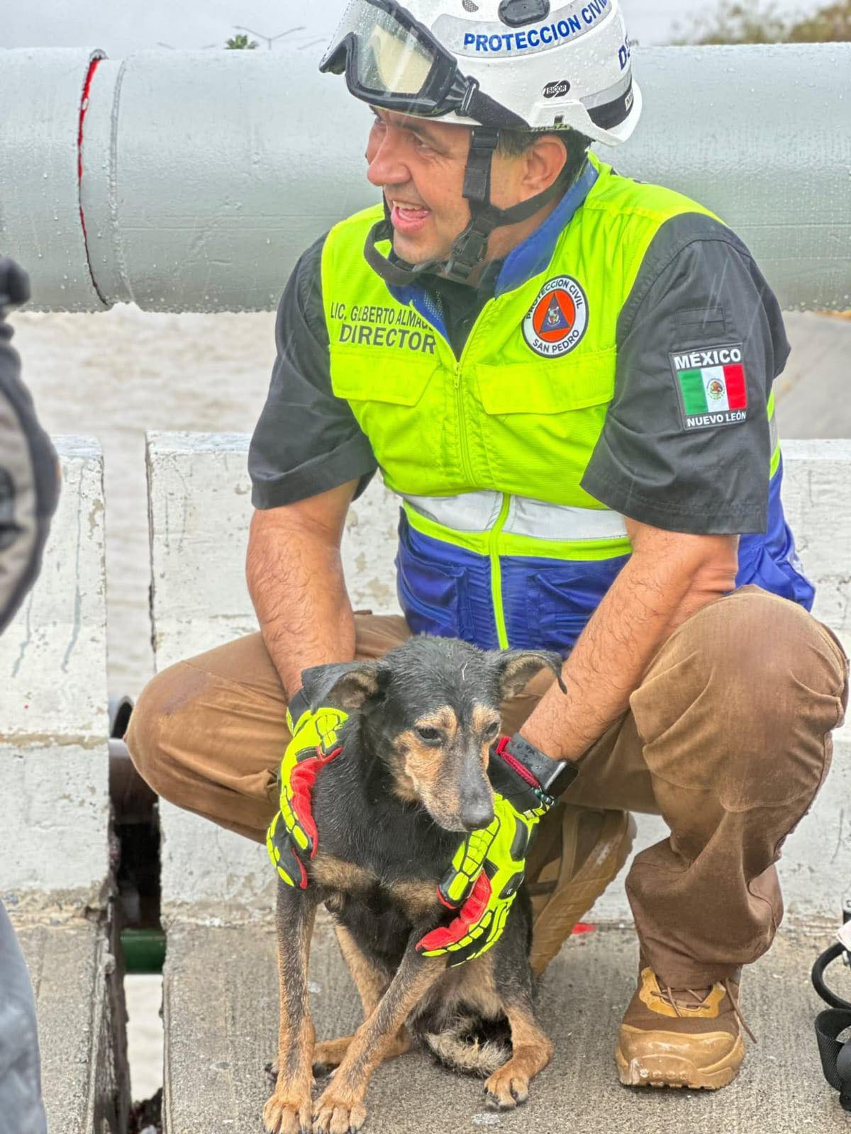 Rescatan a perrito atrapado en arroyo El Obispo 2 533403948 624970907350850 8678574398640961964 n