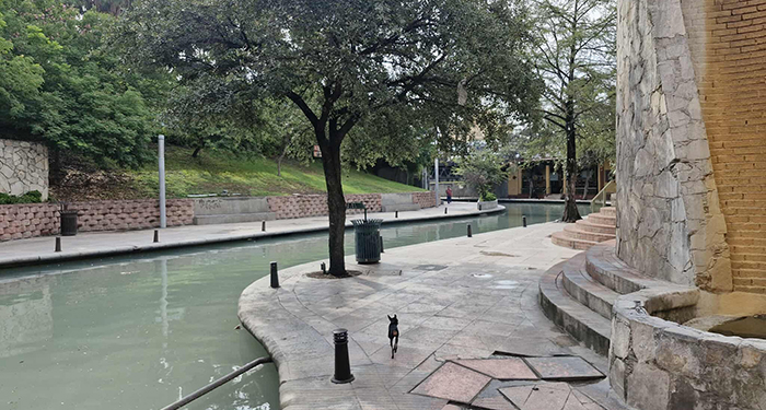 Santa Lucía: su paseo luce turbio 2 538121160 1457630128900609 5999093144405682075 n