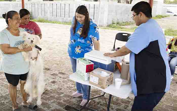 Gobierno de Beto Granados lleva jornada de vacunación antirrábica 1 PERRITO 2