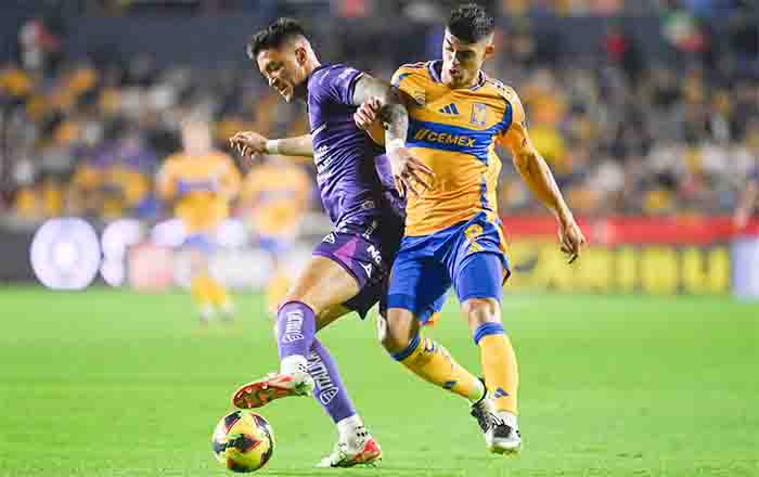 TIGRES