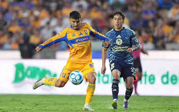 TIGRES