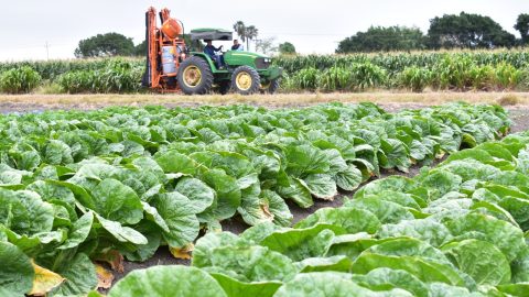 Tamaulipas, líder nacional en crecimiento de actividades primarias durante el primer trimestre de 2025 3 WhatsApp Image 2025 08 08 at 5.17.29 PM 3