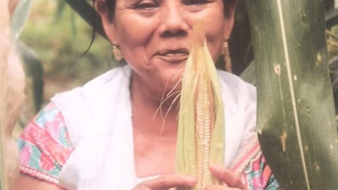 Homenajearán a mujeres indígenas en Museo De Historia Mexicana 1 541290615 2025443874660774 4206265600680880603 n