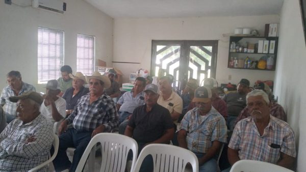 Américo Villarreal incluye al sorgo en el programa 'Cosechando Soberanía' 1 WhatsApp Image 2025 09 03 at 4.05.53 PM e1756937452831
